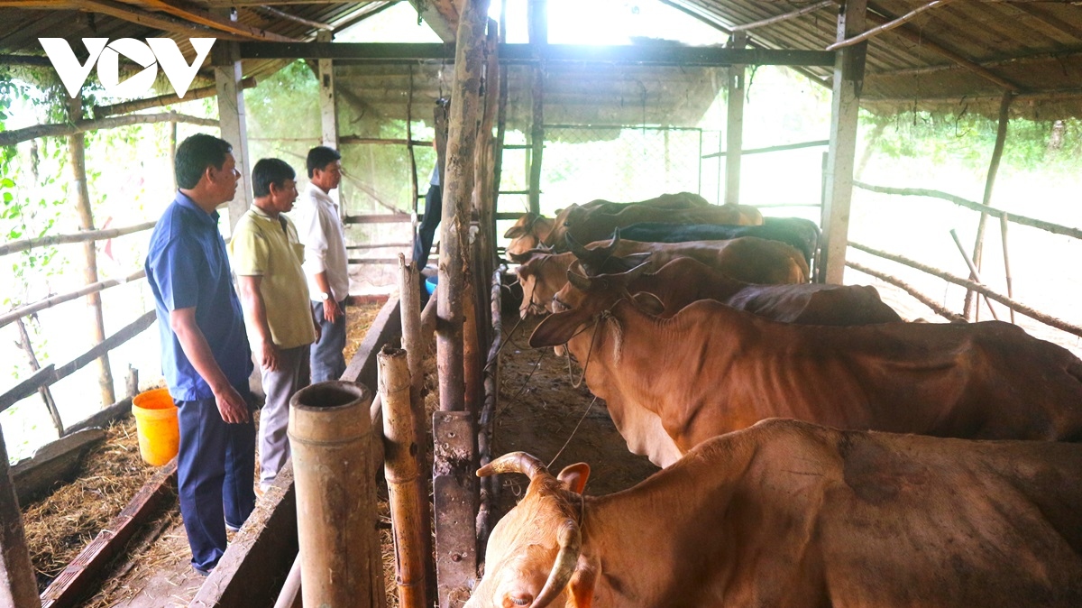 gap nhung thuong binh nguoi khmer vuon len tren mat tran san xuat hinh anh 1