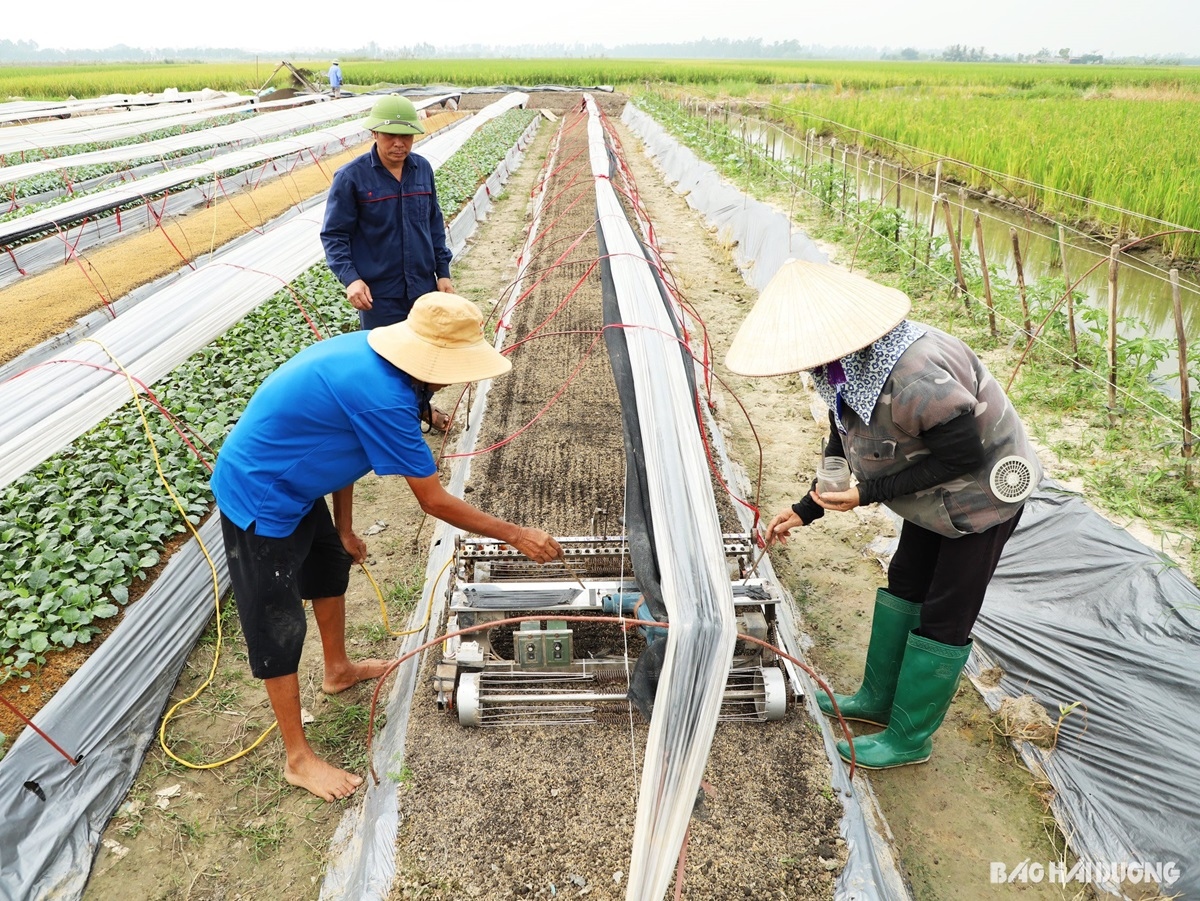 nong dan hoc het lop 7 ban may nong nghiep di khap the gioi hinh anh 2