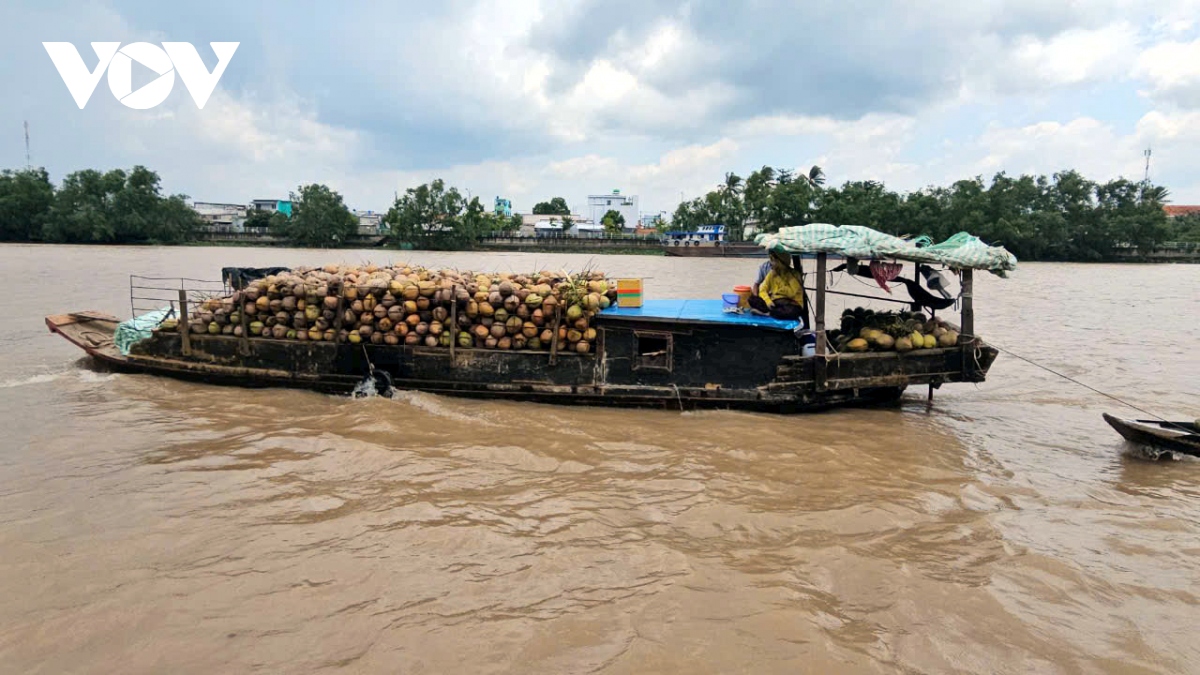 gia nhieu loai trai cay o tien giang va ben tre tang cao do thieu nguon cung hinh anh 2